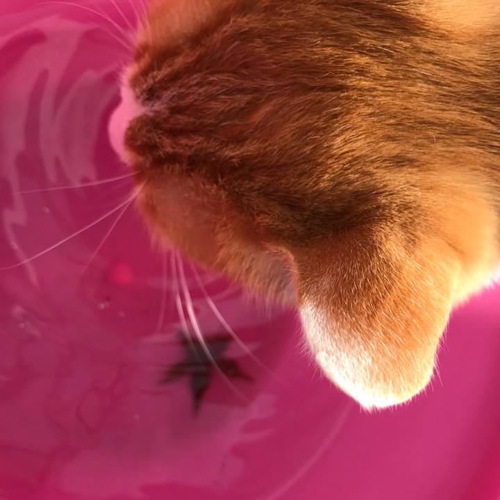 D8e21662 9181 47de 8a13 3b487c78b67e