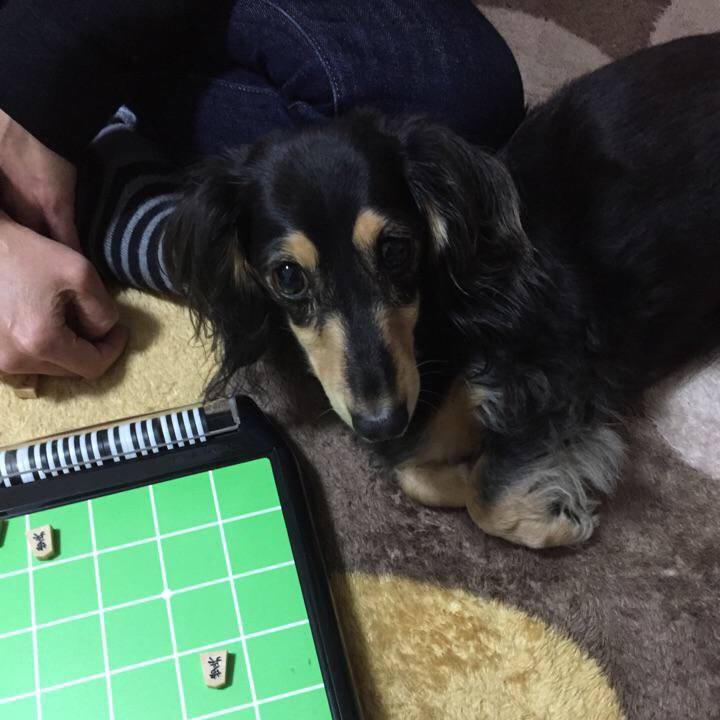 D8e3271a a6ed 4c4c a0c4 af932f58e19e