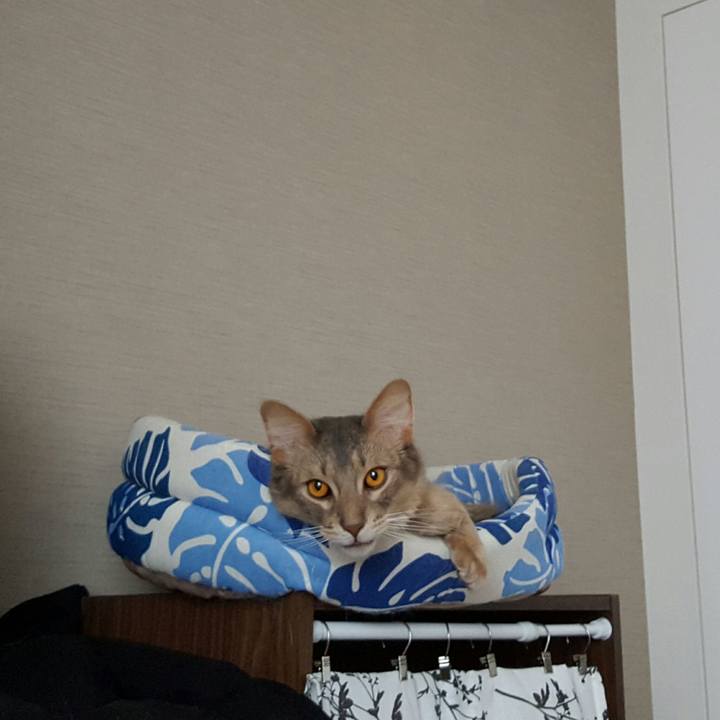 D8e3873e 6efd 404e bcb8 ec499231fccd