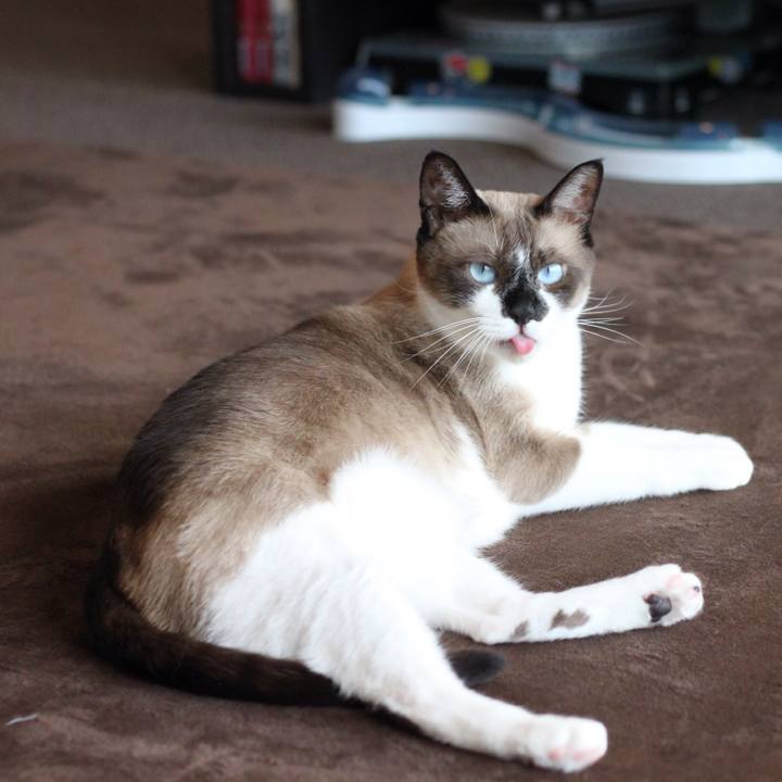 D8e3cddd be21 4163 878e 01a3b5e829ef