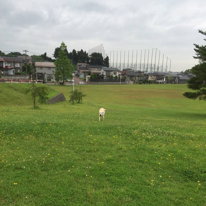 D8e4a04a 7e1d 45bc bfe7 0e4ab4933ca1