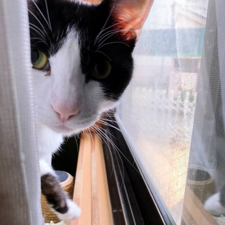 D8e4e310 87ab 4e7f 836d c5fe5d7f89b9