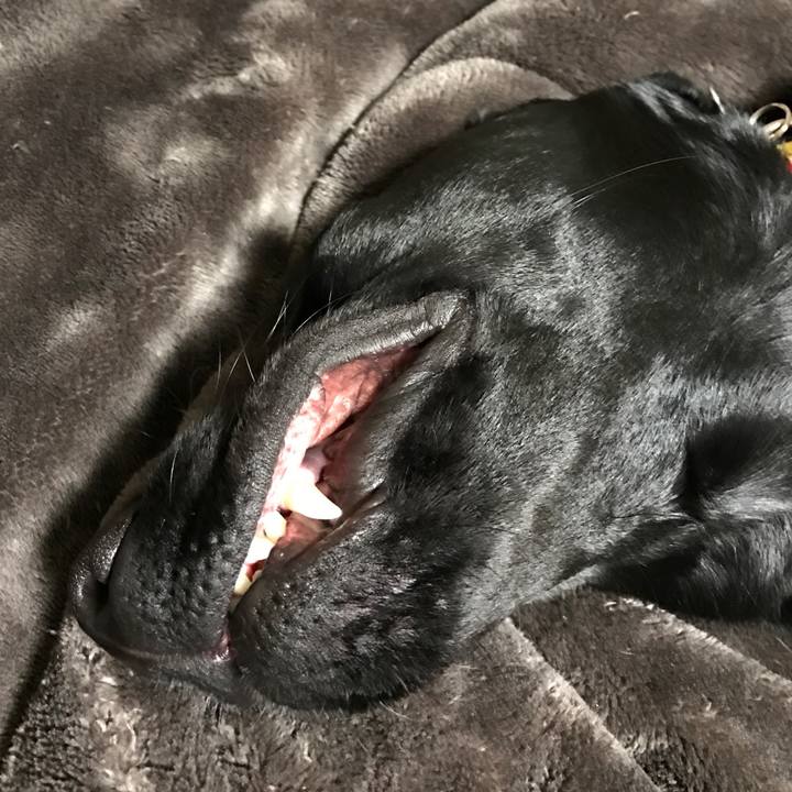 D8e4f0eb 4a45 4023 8d37 ecd63007a65b