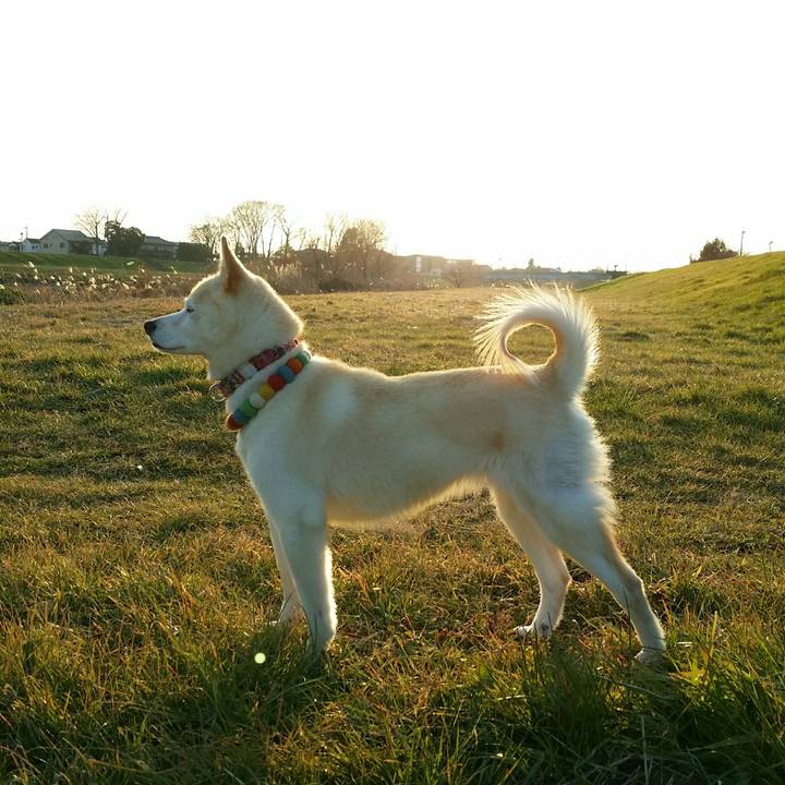 D8e52f5e 8283 4713 ba4a c8f23d562b09