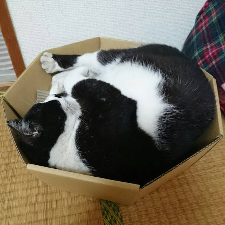 D8e58900 a94b 4d69 873a 188150e2ec52