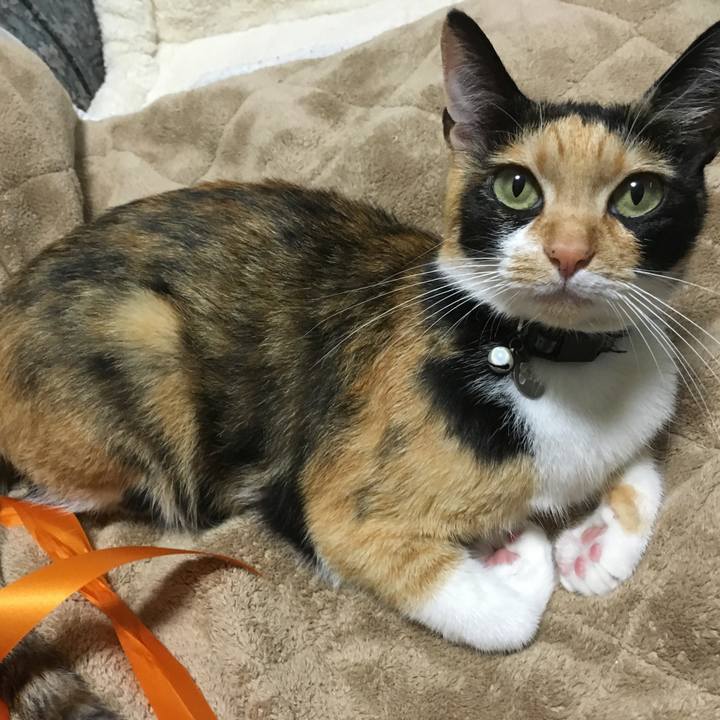 D8e5edc0 21f2 4796 aad4 f7f6a6ffeb6f