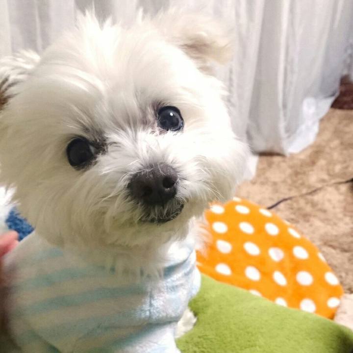 D8e6032b 7b2a 429a 9e31 d6b171053170