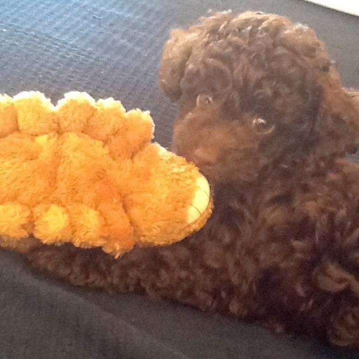 D8e64cc2 3445 4fd4 8a21 317d9a98eedf