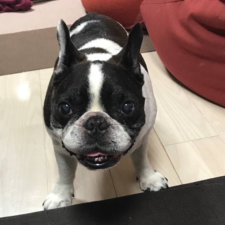 D8e6b598 a0fe 4142 8e86 1460d2f91634