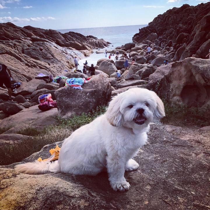 D8e75c00 f994 4a18 9c4e 6518a3b50d7d