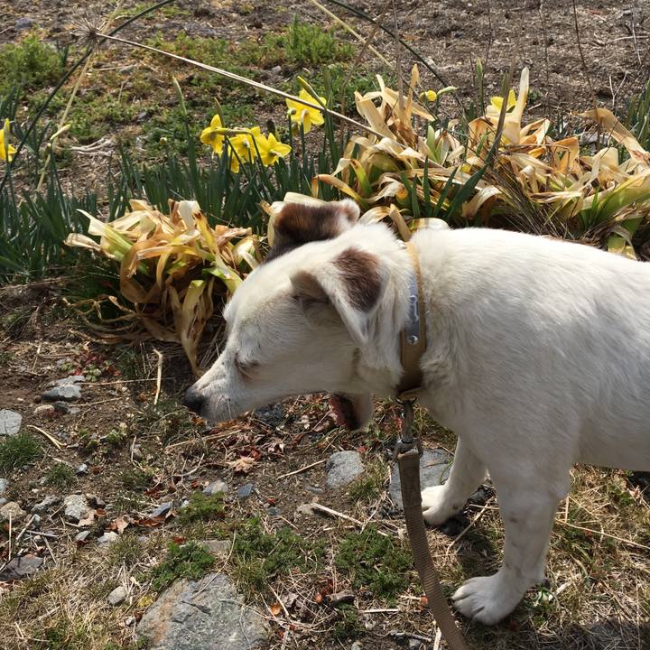 D8e77986 84b9 4ca5 b14e 8afb58665334