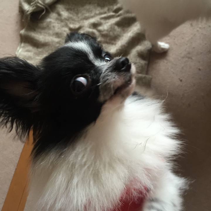 D8e7be5e 937e 4410 988b a37d7c943969