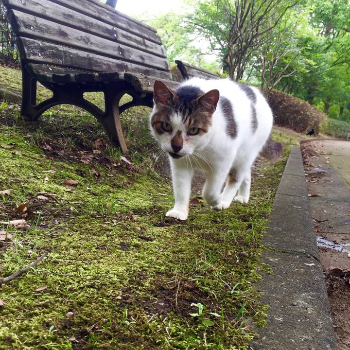 D8e95e30 c9ee 418d b2b3 1afd338e3427