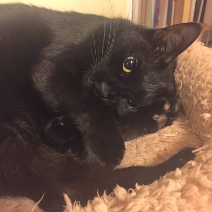 D8eb1d9b bd06 4694 9dd6 a89c047cb335