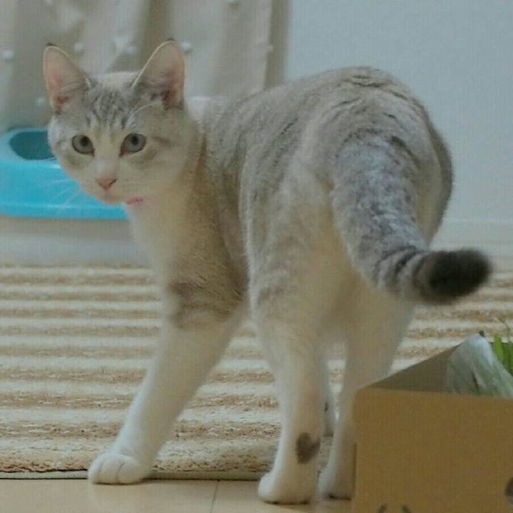 D8eba55b 413a 4b2a a58a a81757227ad4