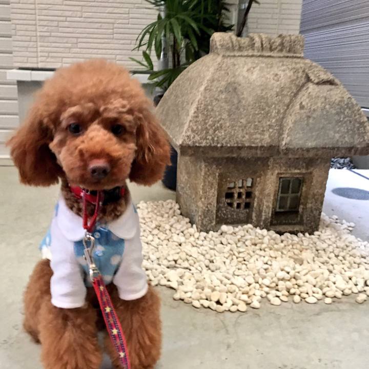 D8ebc218 3bb7 4f20 a919 c90305cbca26