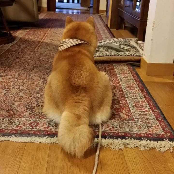 D8ec1e2b 6ee4 449b 8f72 0fbbadd47e09