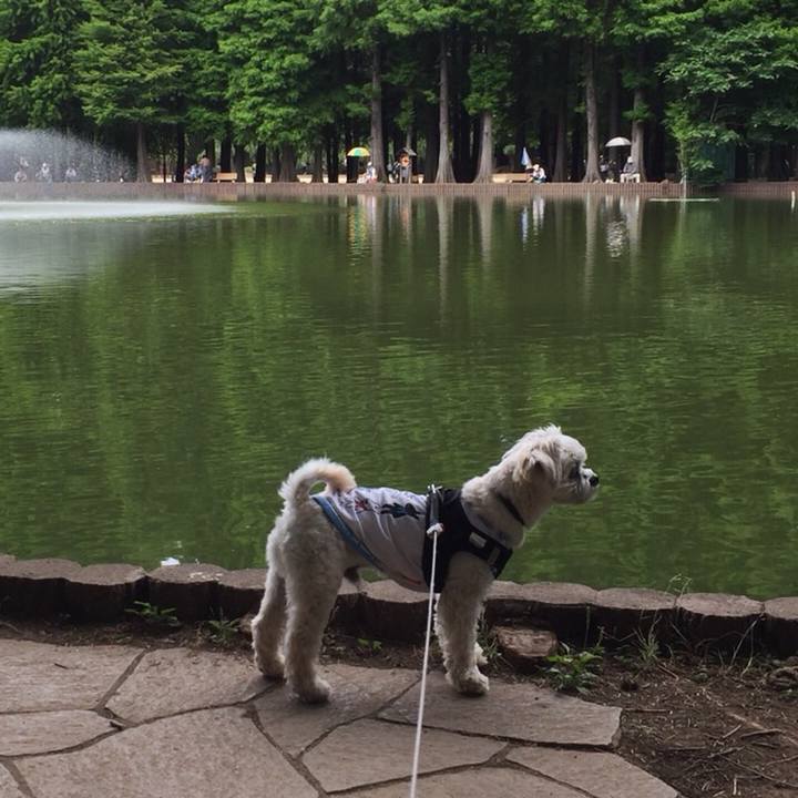 D8ec6f65 a433 4373 9403 588d54cd2aa4