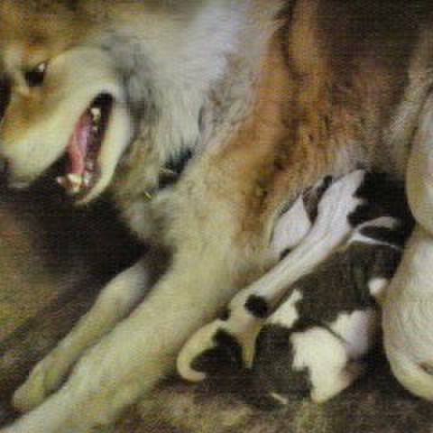 D8ed4d89 3987 48e9 bc02 f9f4ca1a8b14