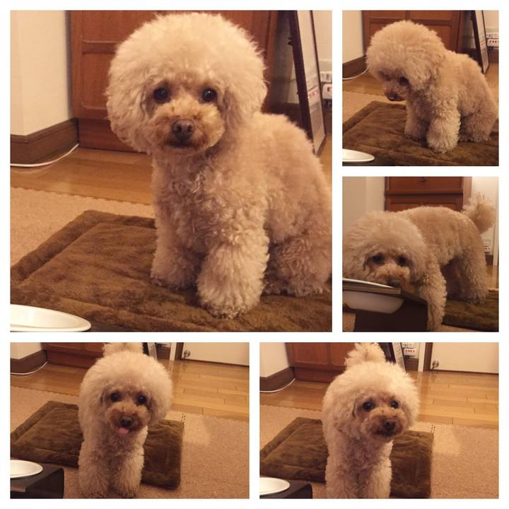 D8edd1c0 0954 455f 8903 be226fc96231