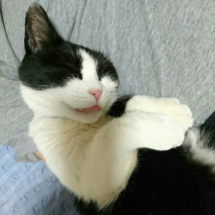 D8ee50d1 6b46 4026 a194 e25db24b0b4f