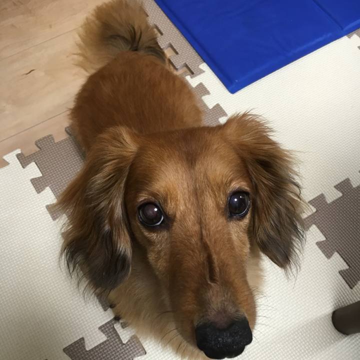 D8ee9c8f 20aa 43ab 881a 051b23b55753