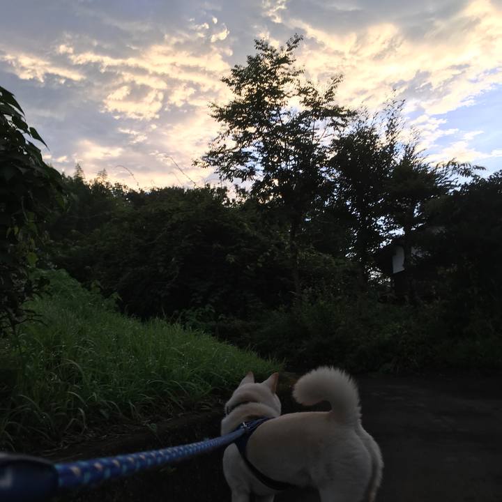 D8eeb632 b173 4995 bc64 1d5aae5332df