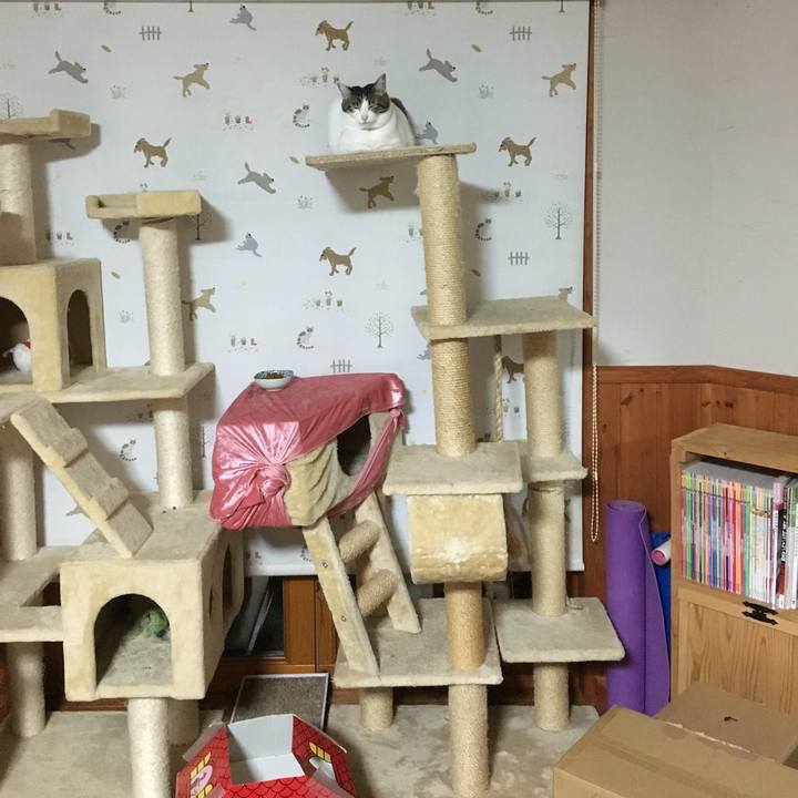 D8eec379 070f 4b55 a289 ed8965fd65b1