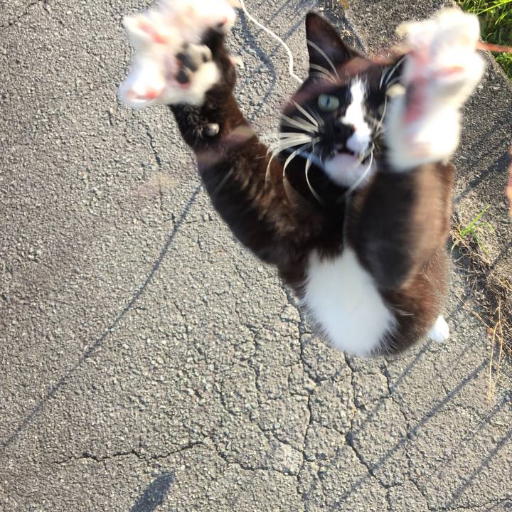 D8eec54f 2c0e 481f 86bf e4c206c71604