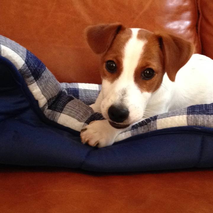 D8ef156c 0e2f 4bbe 9335 22982564895a