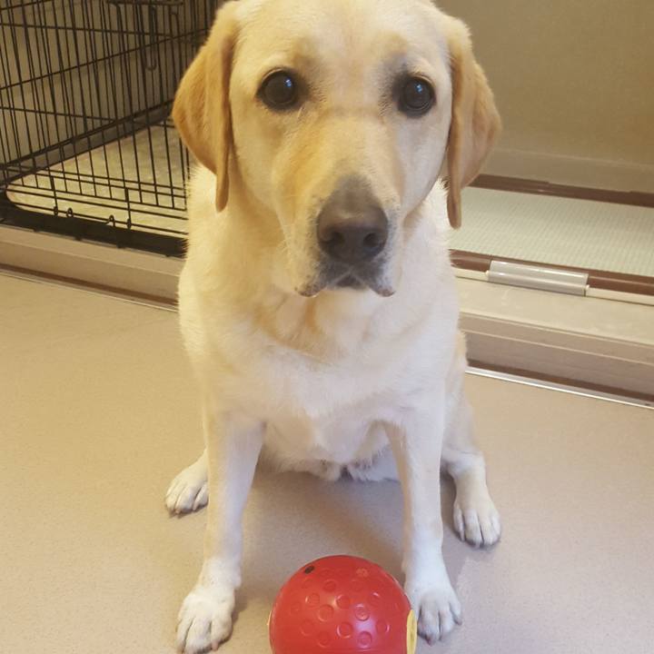 D8ef478d e1fd 440d 8b3c b26e1980d274