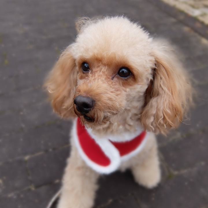 D8efa7d7 5f39 492d acd5 d8f3e030c4aa