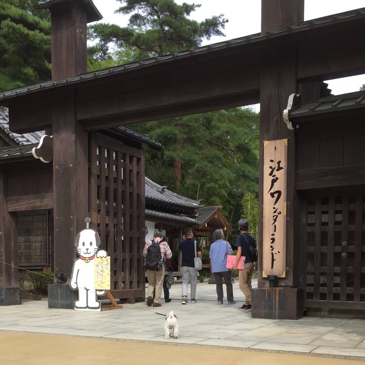 D8f0bd17 c82c 4246 8b7f aa9309c7306e