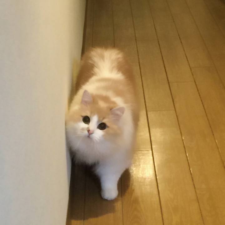 D8f0fe43 e1f5 42b6 a01c 91cef069827d