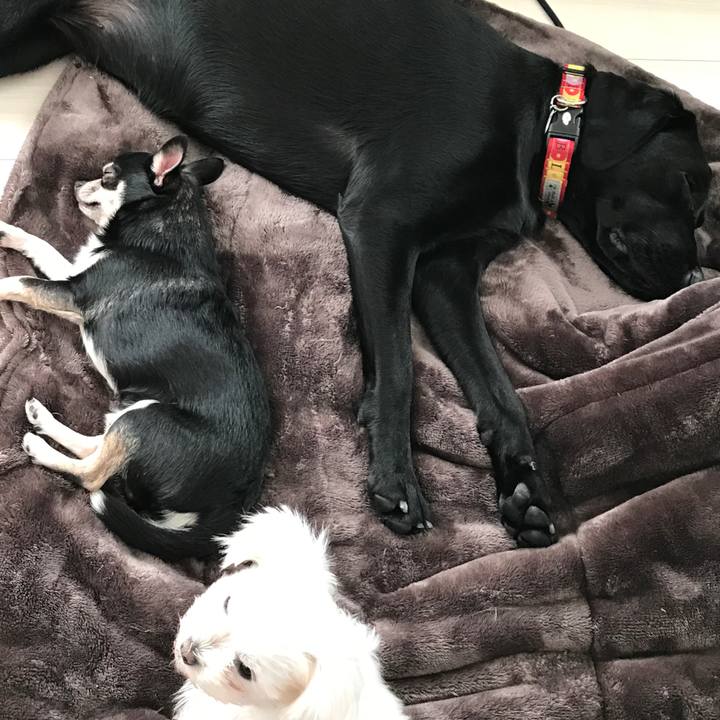 D8f15c7c 2adf 48b0 b722 698e14f602e3