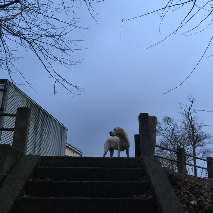 D8f1822b a588 4aec a40f 1a340c897760