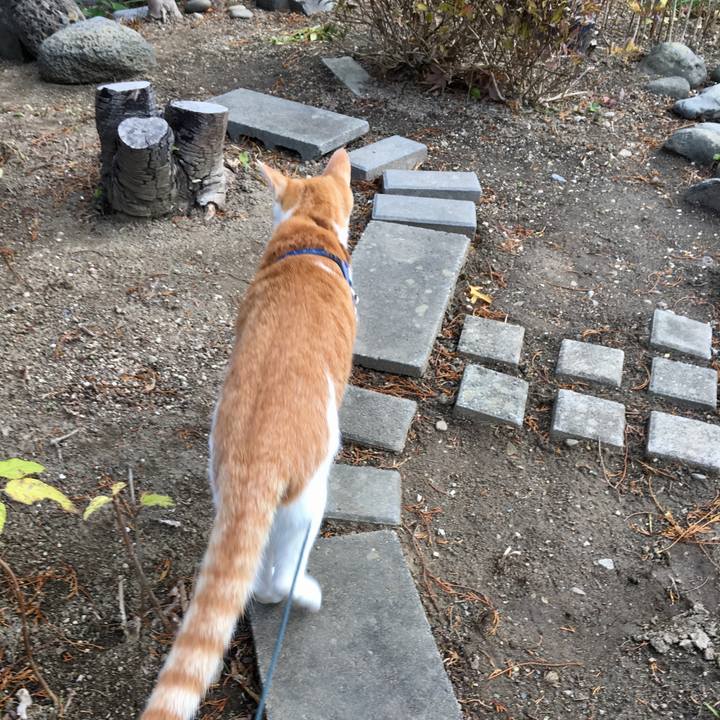 D8f19b16 e171 4b85 8c11 46e591cd9fcc