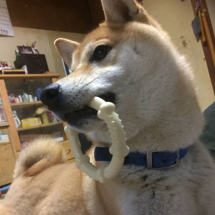 D8f28896 1a27 4a81 a7f0 9095e5f60742