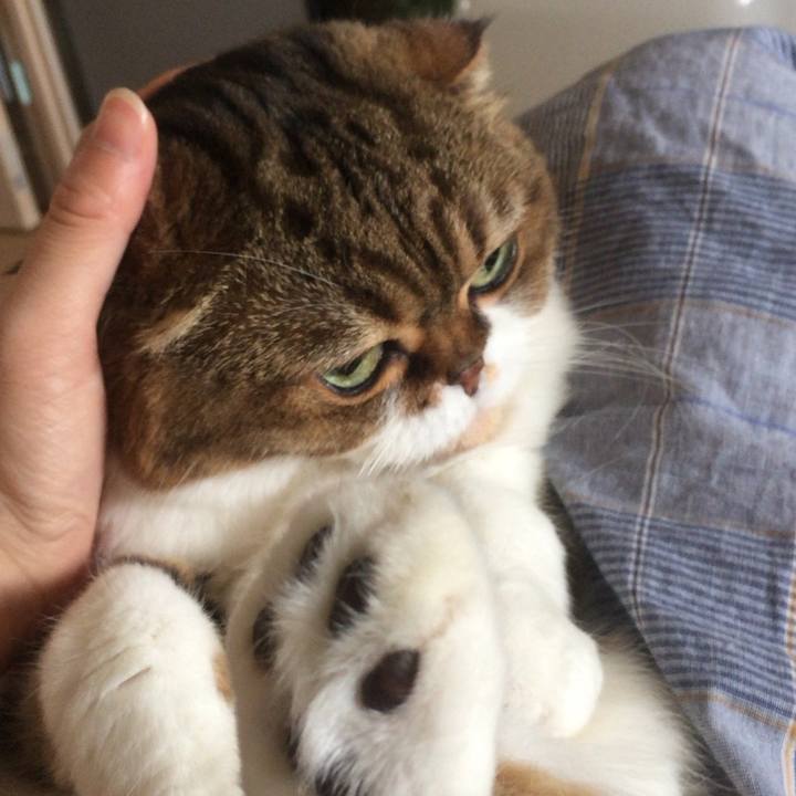 D8f2a6b4 7962 4dbe b89f bf200da21eca