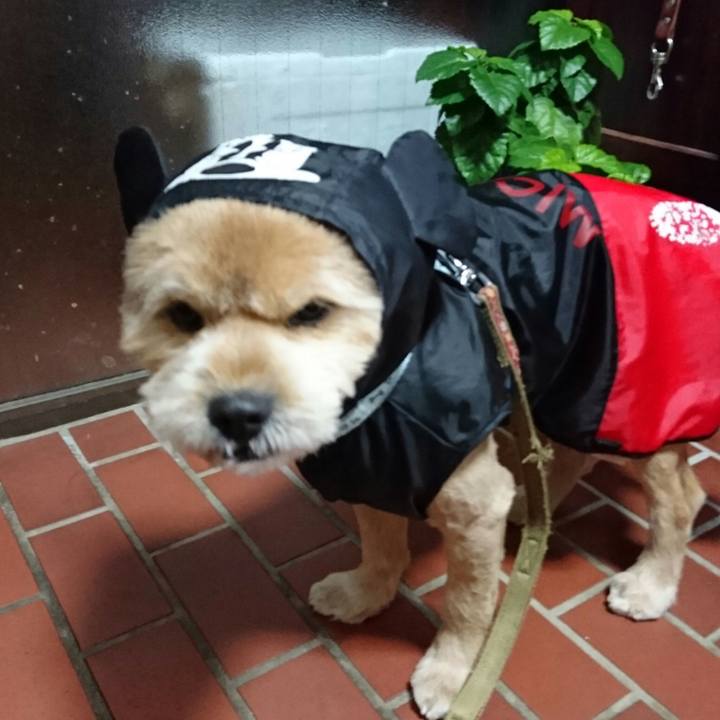 D8f379a4 577a 49de a1ec 0643d67123b1