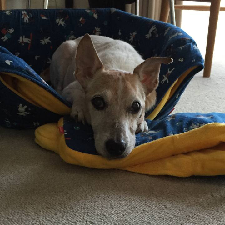 D8f3a58b c8f4 4d09 bd11 234357e4b21f