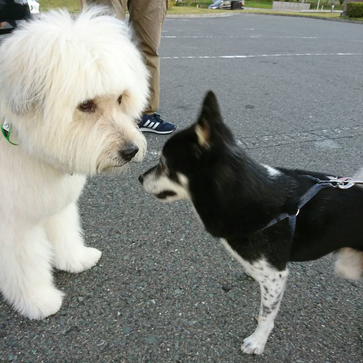 D8f3eb6f bcb6 4111 a24b 949634e945b5