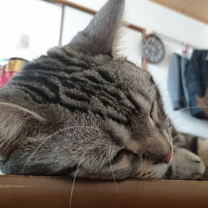 D8f478ac 6c2a 4235 8c75 7e1c84b93e72