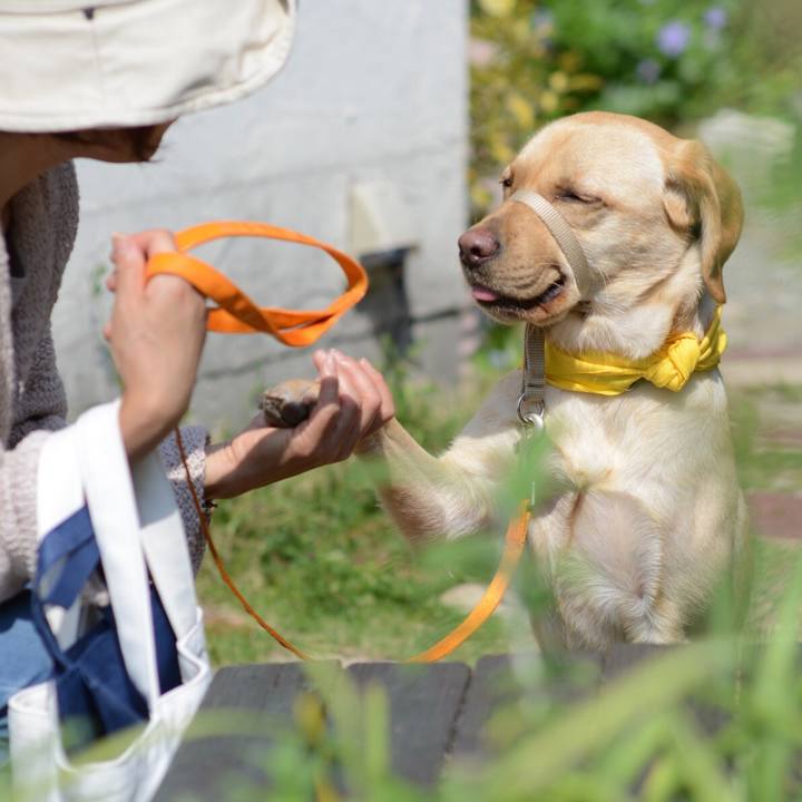 D8f4bd37 251f 44d7 9ac7 5edfadcf8bb8