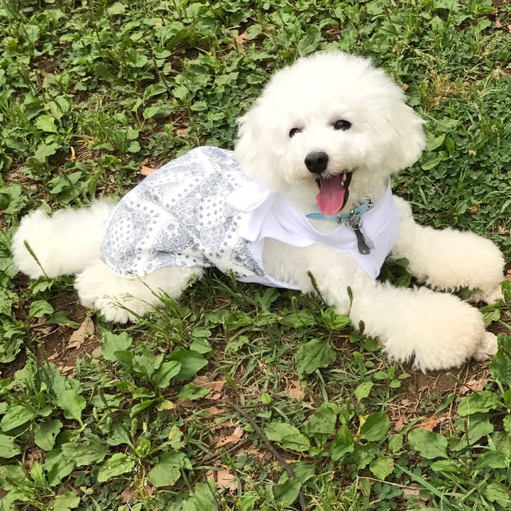 D8f58197 ccaf 4969 9ad1 ce89aef53cbf