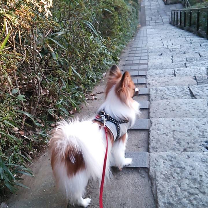 D8f59231 01c2 402c 94ec 539448eace6e