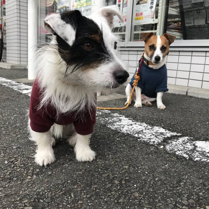 D8f6a59b e9ab 4052 85c9 4ec950997fd5