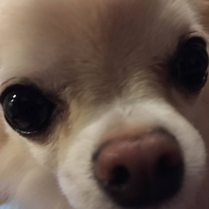 D8f750e6 00cc 473d 93f5 b9e4599dfa79