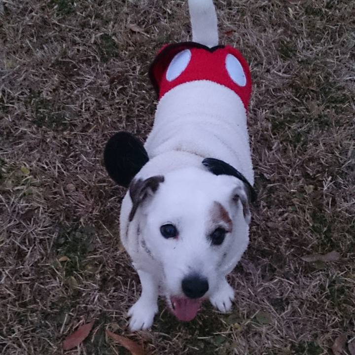 D8f77251 3880 4102 9365 d1ac6c3a2054