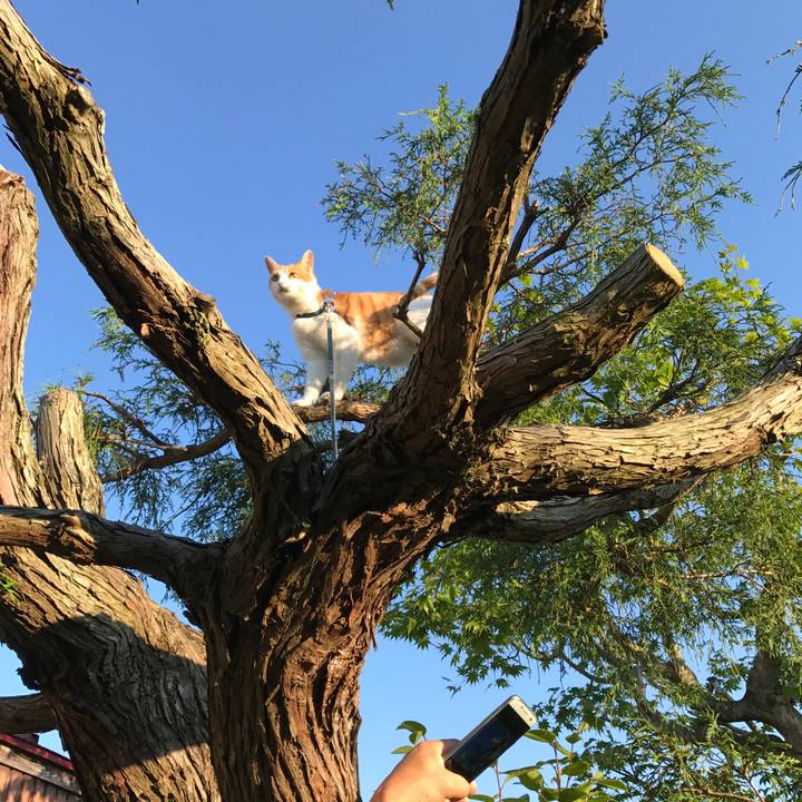 D8f79234 61b8 4a56 a668 2af872127319